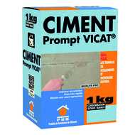 CIMENT PRISE RAPIDE PROMPT 1 KG PRB PC